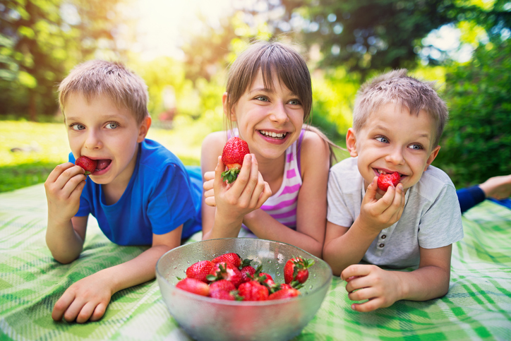 Children Having Picnic And Eating Strawberries In Garden